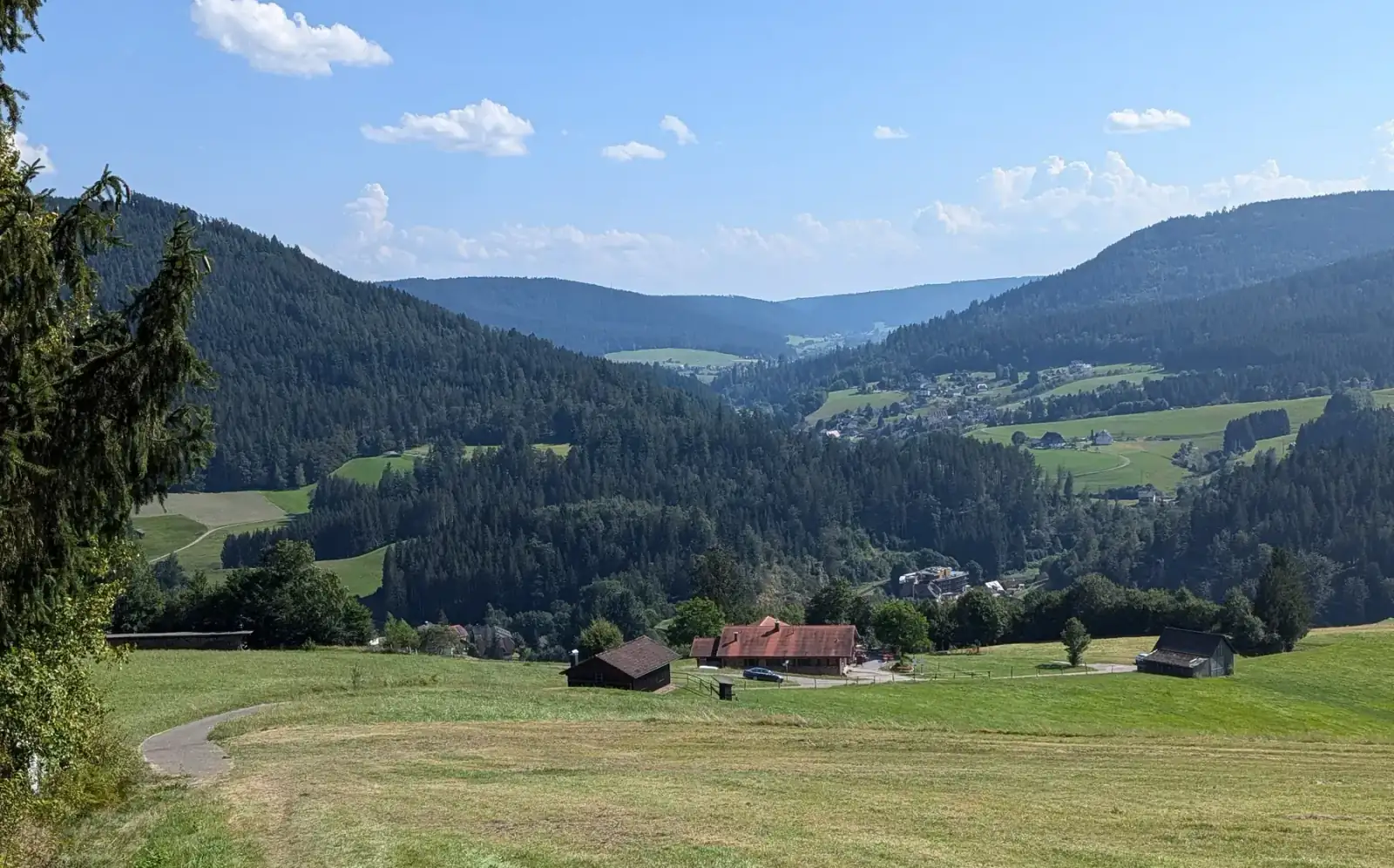 Sonniges Murgtal bei Baiersbronn im Schwarzwald mit Wiesen und Höfen